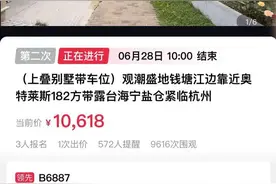 618元起拍的海宁江景别墅，开拍前几分钟，报名人数增至3人图片