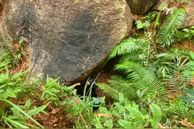 14岁男孩爬山跌落8米深石坑，广州消防紧急救援图片