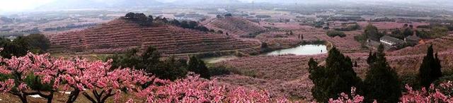 人这一辈子，一定要去一趟奉化！