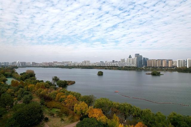 临沂：书法广场