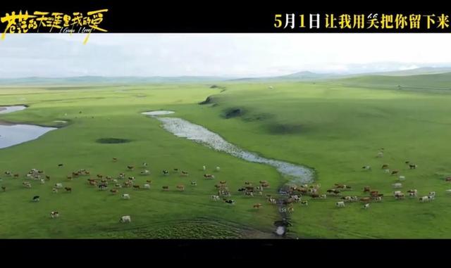 跟着电影去旅行！这些打卡地太出片