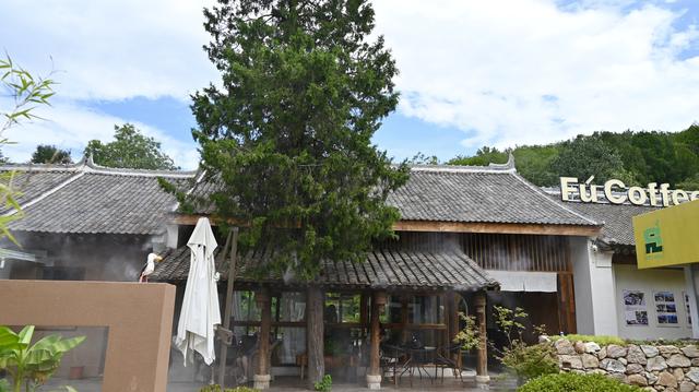 旧村新貌：蓝田县将军村的蝶变之路