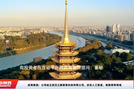 武商集团：公司成立武汉江豚数智科技有限公司，涉足人工智能、物联网等领域视频封面