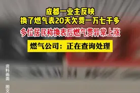 财鑫闻丨成都一居民更换燃气表20天后欠费17000多元，多方回应图片