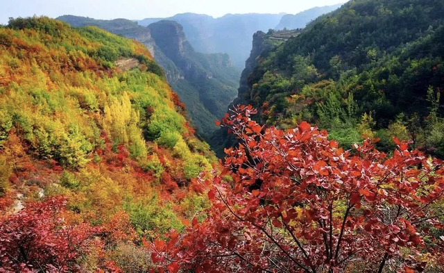 秋浸中原！河南把秋日浪漫揉进山水古城里