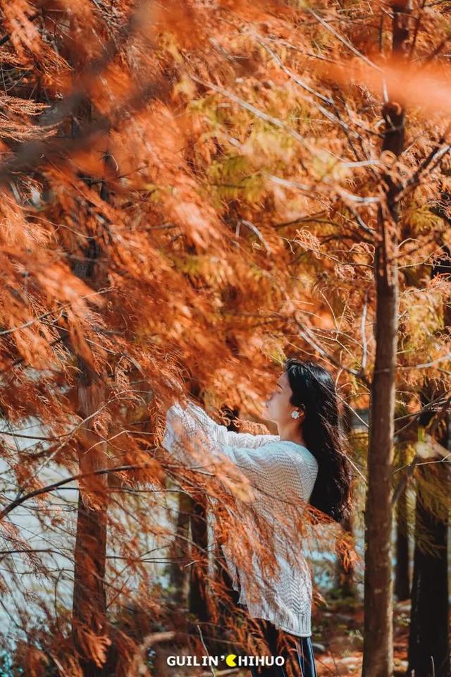 冬至丨解锁桂林的多彩冬天！