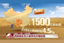 又到一年夏收季！一起打开丰收的地图图片