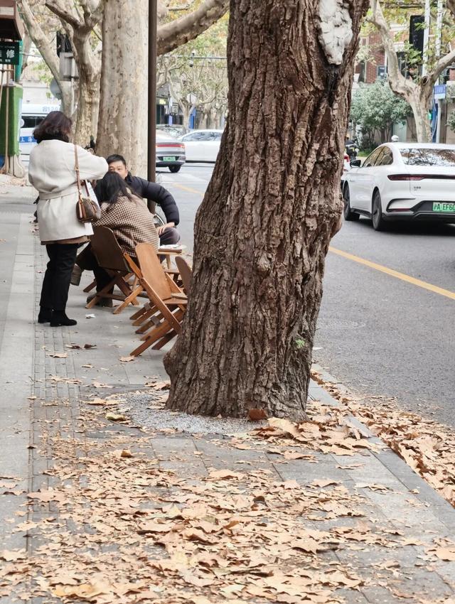 静安落叶景观道已就位！限时“治愈系地毯”已铺好，周末散步指南→