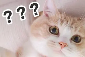 许多人爱吃的腐乳，究竟是下饭神器还是致癌“杀手”？图片