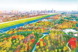 初冬的合肥骆岗公园色彩斑斓图片