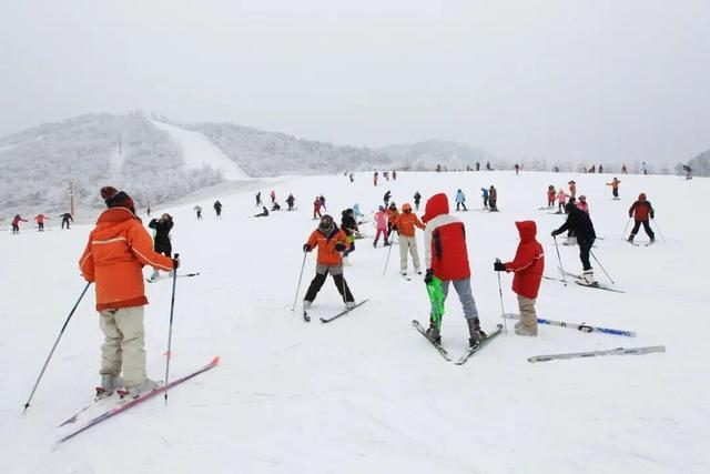 一键收藏！卾冬最全滑雪攻略