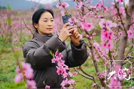怀宁：千亩桃花开 美景迎客来图片