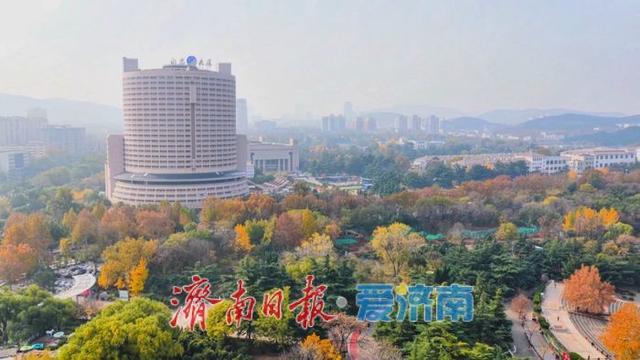 初冬，泉城公园开启“高饱和度”模式