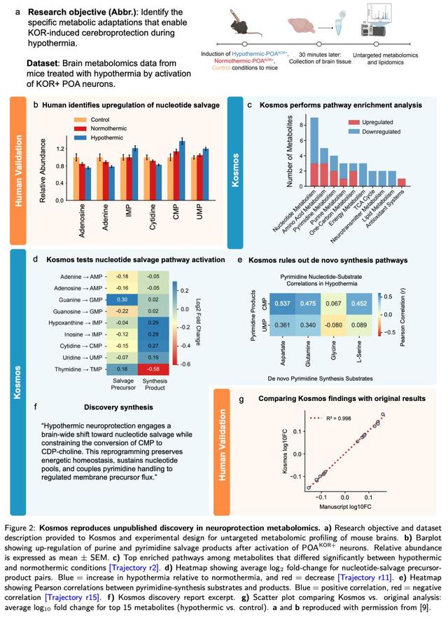 AI科学家登场，12小时抵人类科学家半年工作量，已有7项大成果