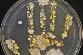 洗手这件“小”事，其实有“大”学问图片