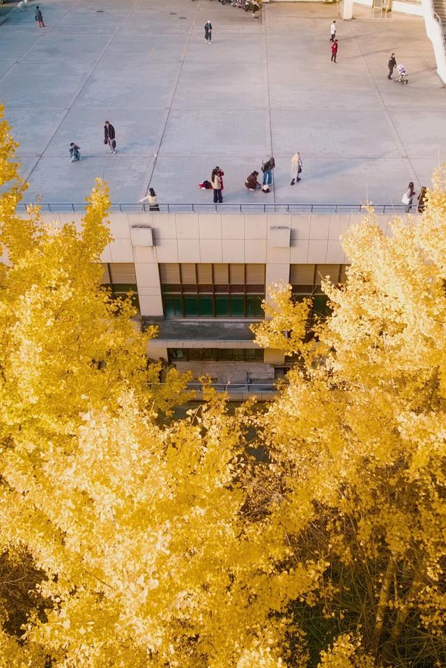 限时绝美！年度顶流！