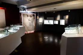 上海历博展20世纪胸针：迷人的是历史和人图片