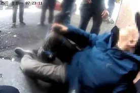 杭州“神犬小七”，立大功了！图片