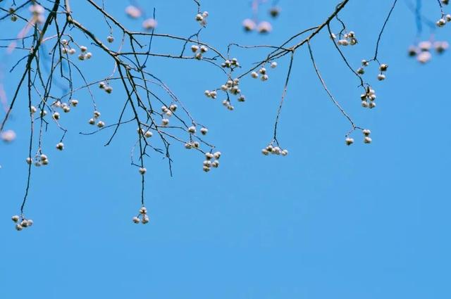 四季流转，青浦这座公园的颜值从来不掉线！