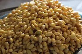 云梦：地方美食“周田豆腐”享誉荆楚大地图片
