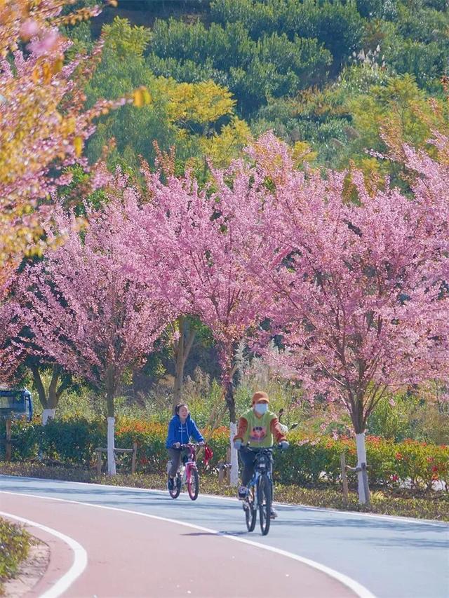 2026年，来红河，赴一场跨越四季的浪漫之约！