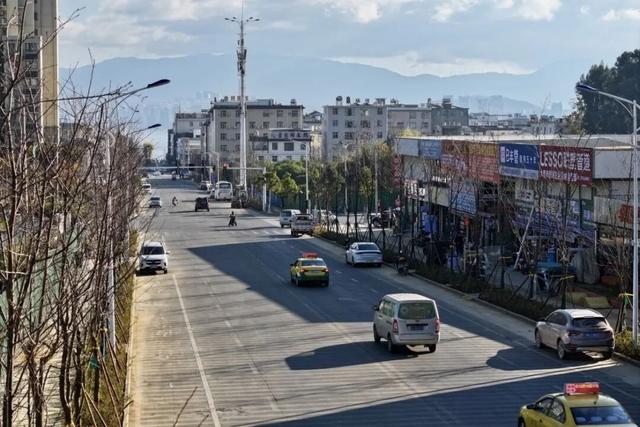 又添一条樱花大道 大理三月好风光