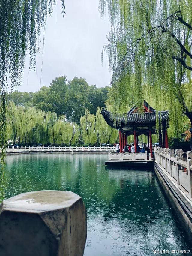 双节拍 | 雨中逛一逛，济南四大泉群之一——珍珠泉