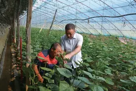 辽宁省沈阳市科技助残行动——点燃农村残疾人增收致富梦想图片