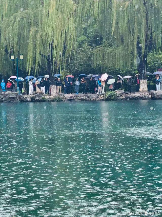 济南雨中的五龙潭公园更美丽