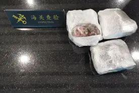 魔爪图片