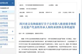 官宣！非遗“代言人”+374！图片