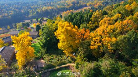 四川这份深秋限定浪漫，等你“淘”取！