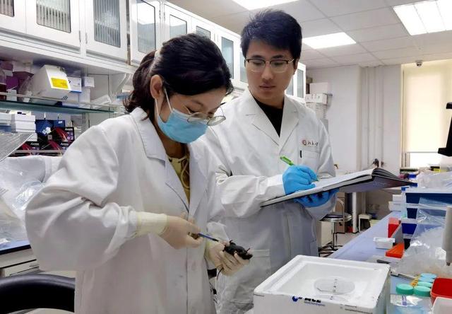 媒体北大·新华社 ｜ 中国科学家找到治疗子宫腺肌症新靶点新方法
