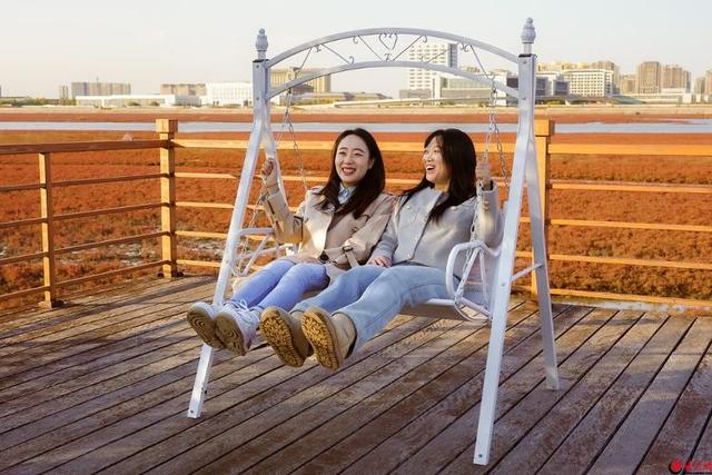 红海滩的“红”从何而来？