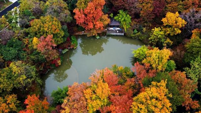 老广们！即刻出发“朗京嘿哈山”啦～