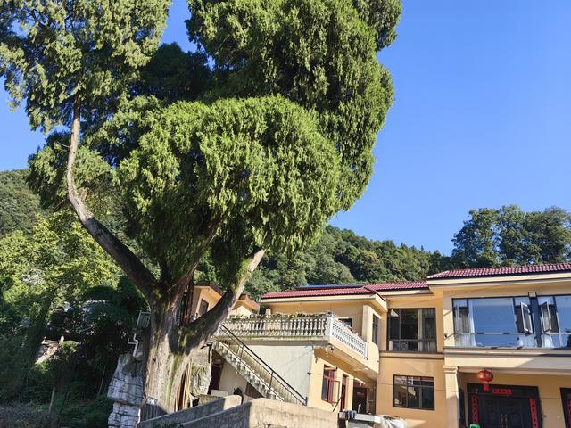 【穿越烽火・黔岭新章】贵阳黄连村：红军曾在这里写下“还我河山”