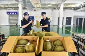 更新鲜！泰国榴莲常态化直“飞”青岛图片