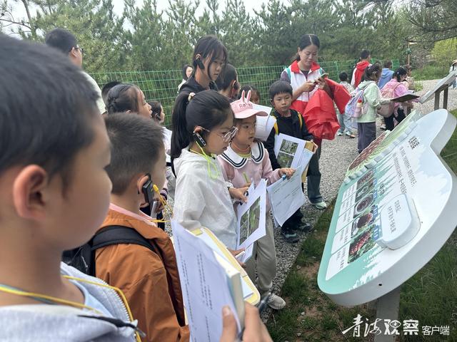 一场别开生面的暑期绿色环保研学之旅