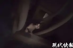 萌猫钻进中巴吸气管，司机“拆车”救出小猫图片