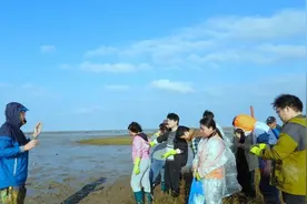 多次在《科学》等顶刊发文的复旦学者，如何破解生态修复难题？图片