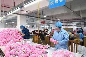 秦巴“萌熊”越洋记图片