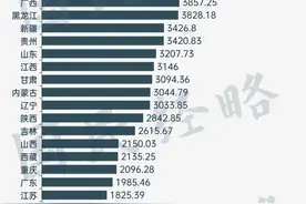 10万亿中央转移支付，都被谁拿走了？图片