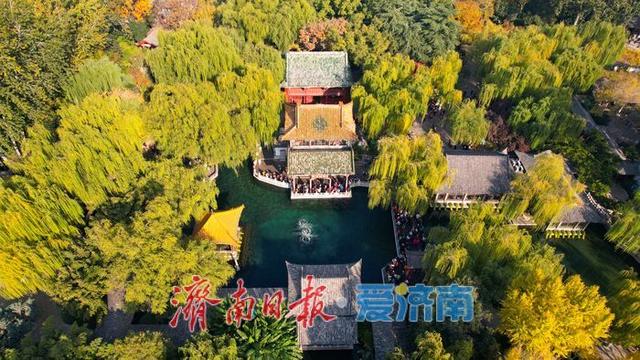 一年四季 泉在济南丨趵突泉秋景如画 泉涌叶舞醉游人