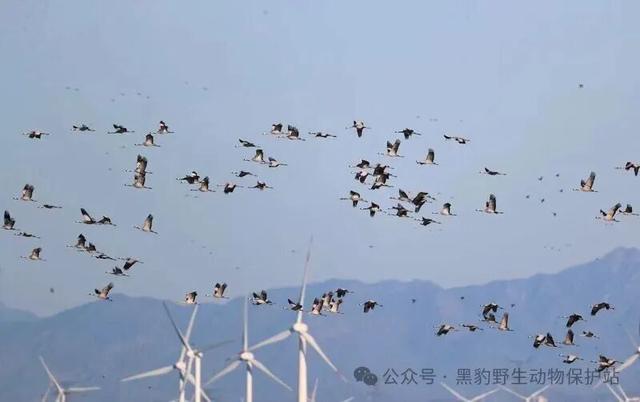 北京冬日限定“奇观”！就到月底！快冲→