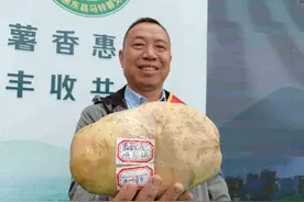 “薯香惠东 丰收共享”——2025年惠东县马铃薯文化节成功举办图片
