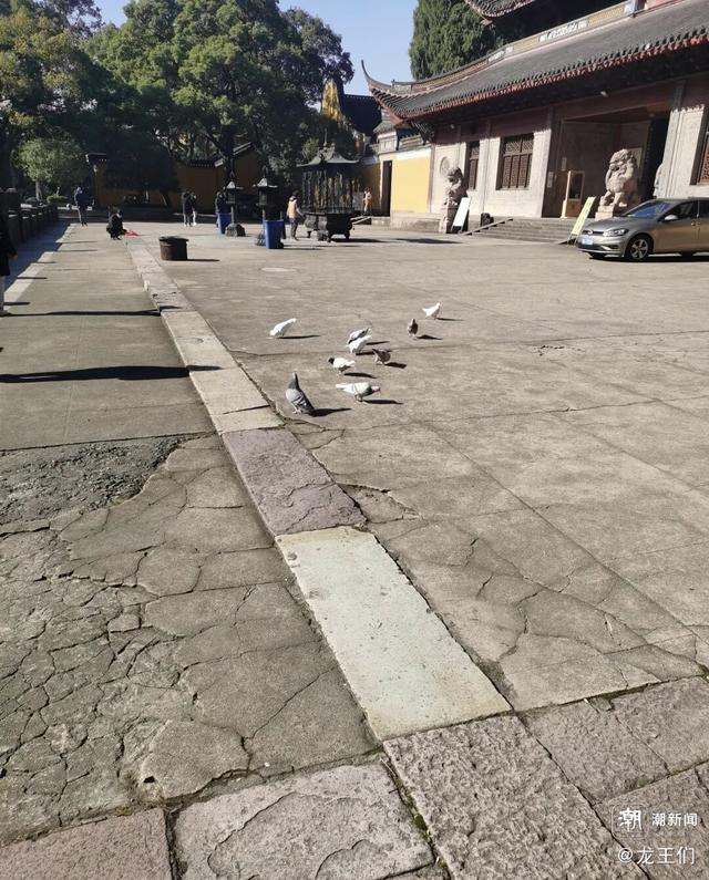 晚潮｜冬日暖阳育王寺