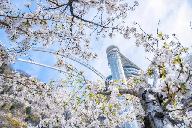 潭溪山免票活动再加码！@全国女性，三八免票福利来啦！
