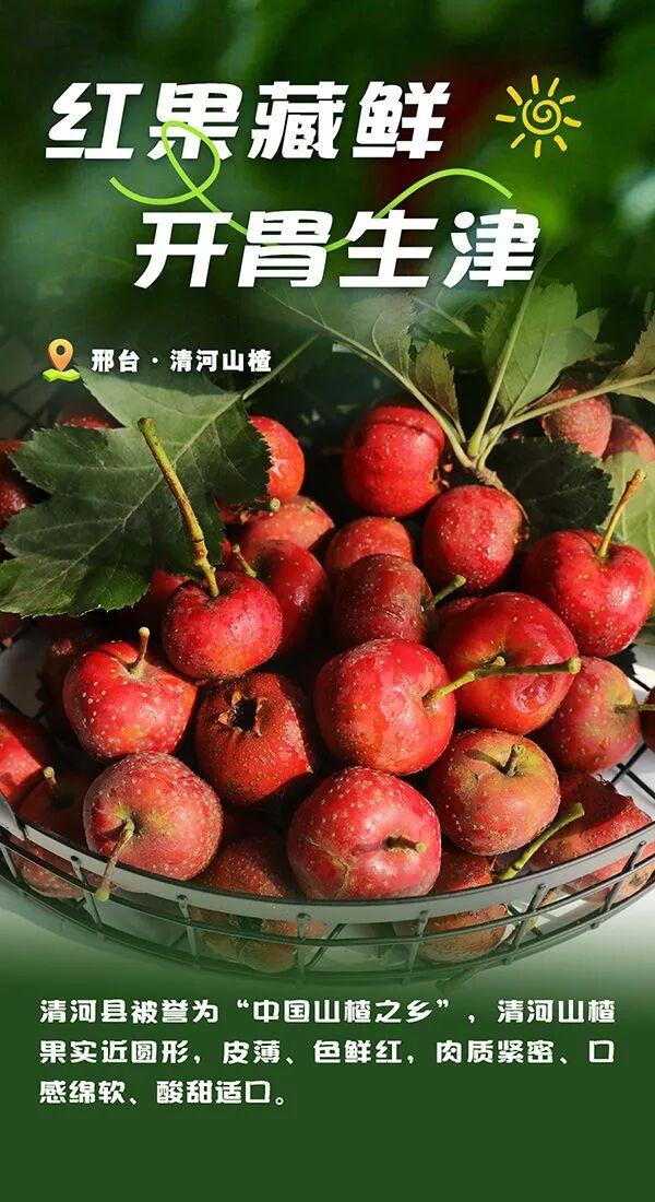 被邢台圈粉了！每一口都是自然的馈赠