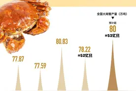 大闸蟹价格“跳水”！今年全国产量或超53亿只，你吃了吗图片