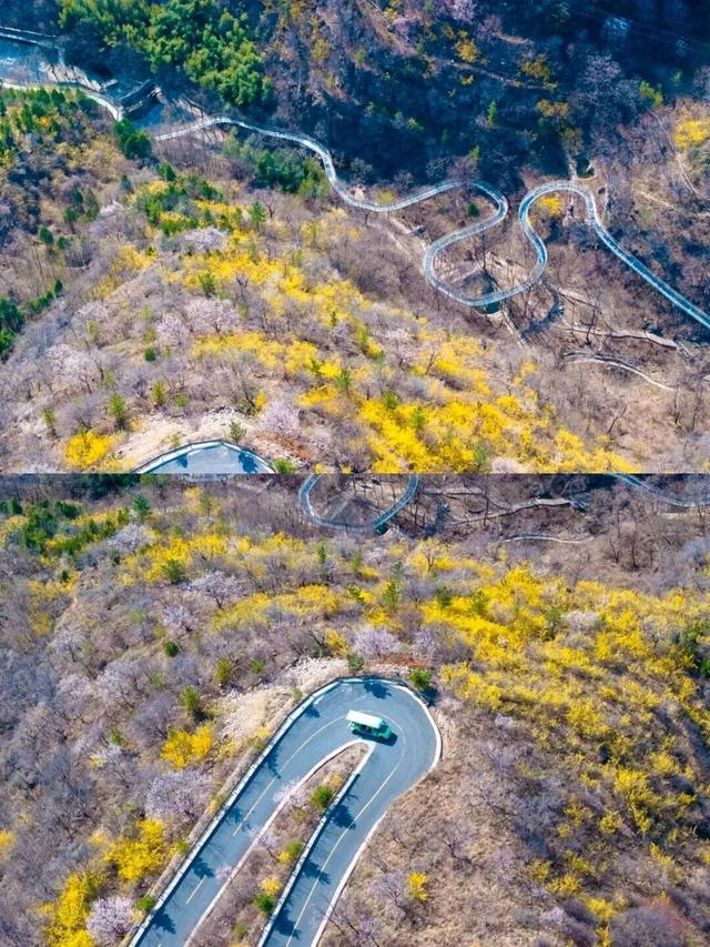 明确了！淄博的春天这样玩，过瘾